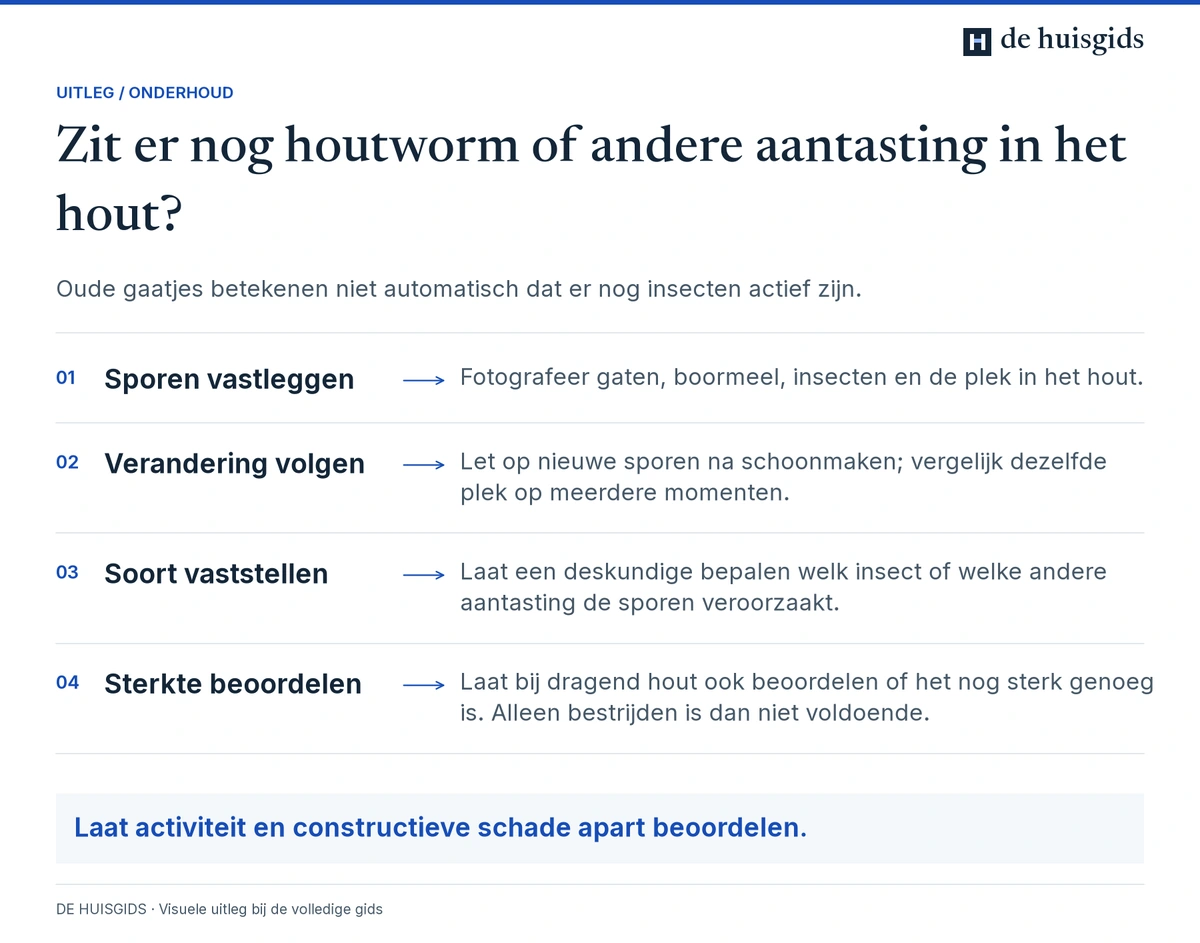 Onderzoek naar sporen, activiteit, soort aantasting en resterende sterkte van aangetast hout.
